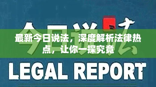 林下风范 第2页