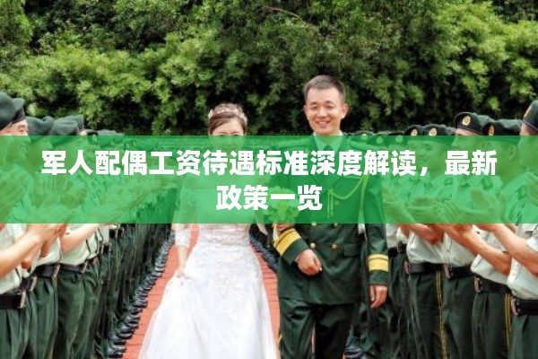 军人配偶工资待遇标准深度解读,最新政策一览