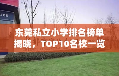 东莞私立小学排名榜单揭晓,TOP10名校一览