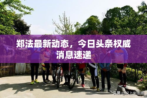 郑法最新动态，今日头条权威消息速递