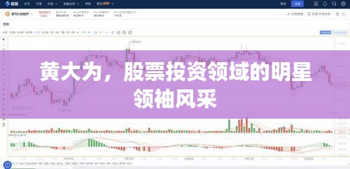 黄大为,股票投资领域的明星领袖风采