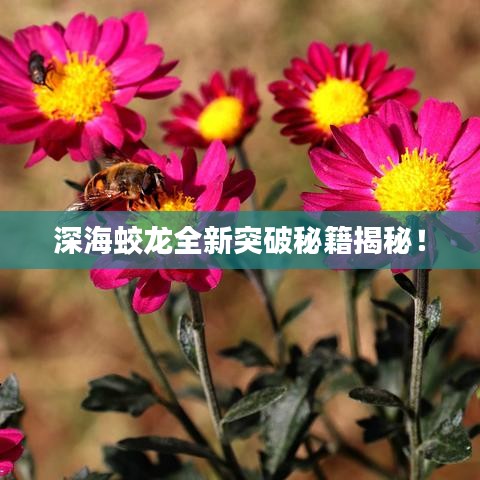 深海蛟龙全新突破秘籍揭秘！