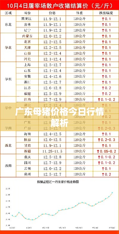 广东母猪价格今日行情解析