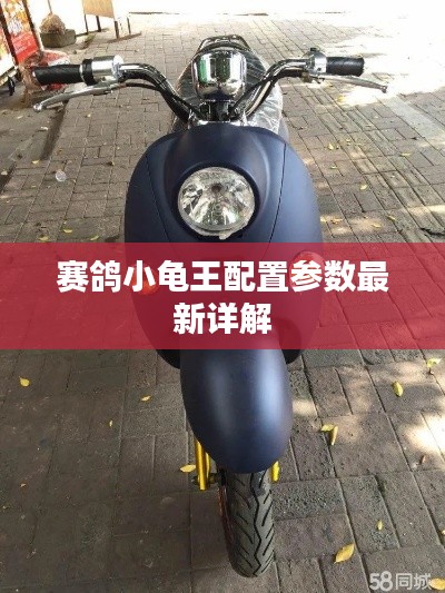 赛鸽小龟王配置参数最新详解