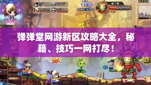 弹弹堂网游新区攻略大全,秘籍、技巧一网打尽!