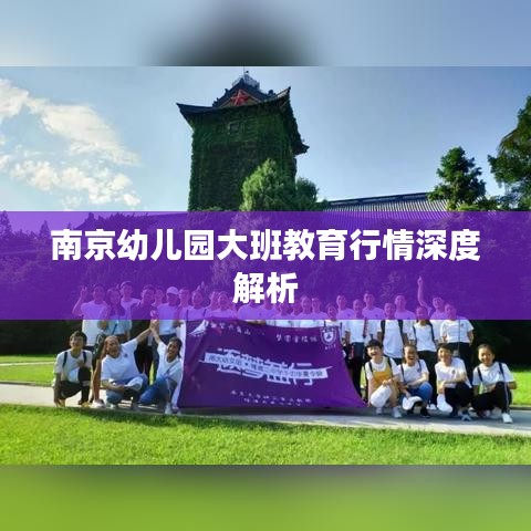 南京幼儿园大班教育行情深度解析