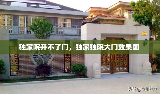 独家院开不了门，独家独院大门效果图 