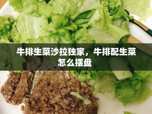 牛排生菜沙拉独家，牛排配生菜怎么摆盘 