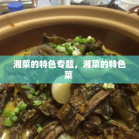 湘菜的特色专题,湘菜的特色菜