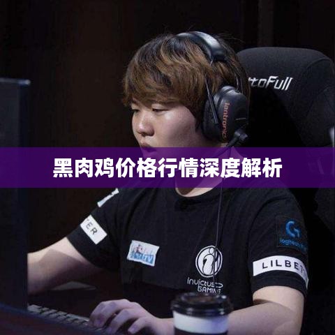 黑肉鸡价格行情深度解析