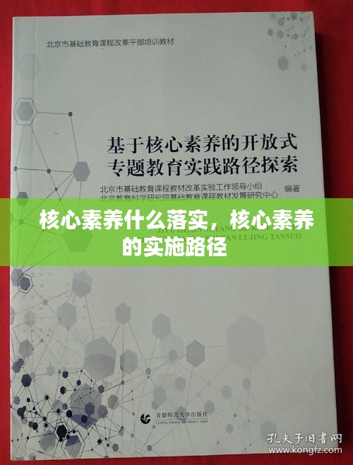 核心素养什么落实，核心素养的实施路径 