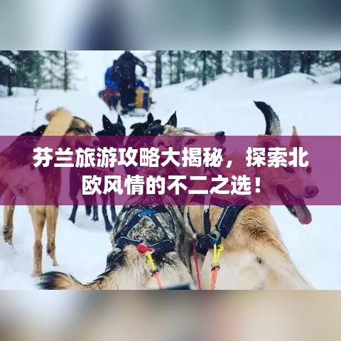 无冬无夏 第2页