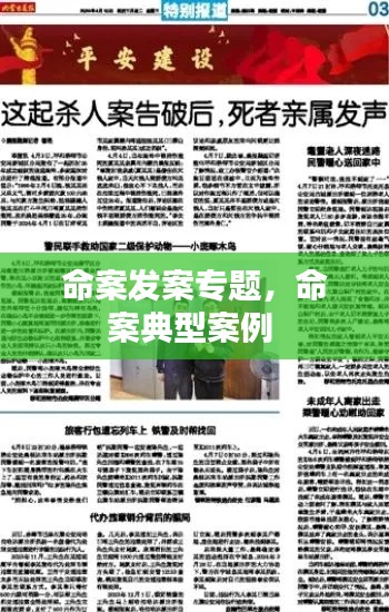 命案发案专题,命案典型案例