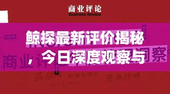 鲸探最新评价揭秘,今日深度观察与最新消息速递