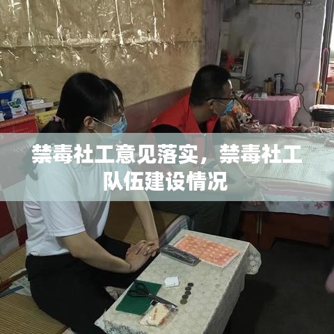 禁毒社工意见落实,禁毒社工队伍建设情况