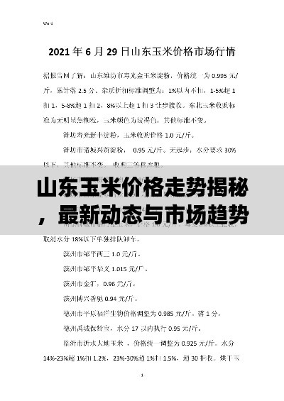 山东玉米价格走势揭秘，最新动态与市场趋势分析